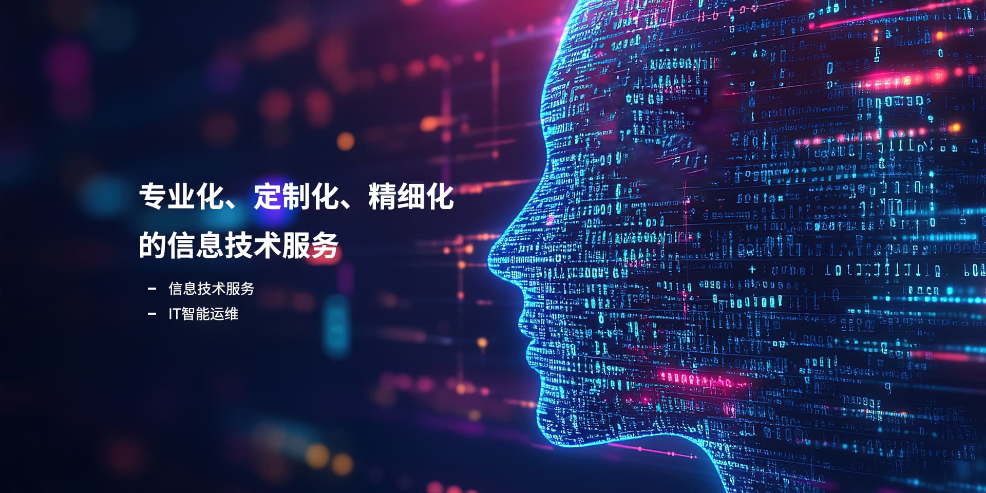 专业化、、、、定制化、、、、精细化的信息技术服务_94